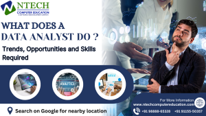 what does a data analyst do?